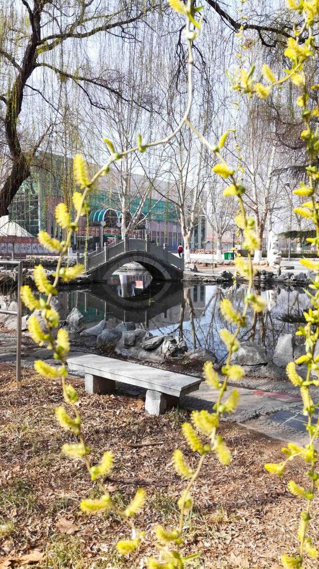 众志成城 齐心战疫｜居家学习的你想念校园吗？那里花儿都开好了 带你云赏花