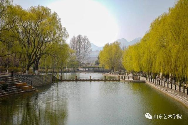 共享校园春光｜山东艺术学院：山艺春分写真集来了