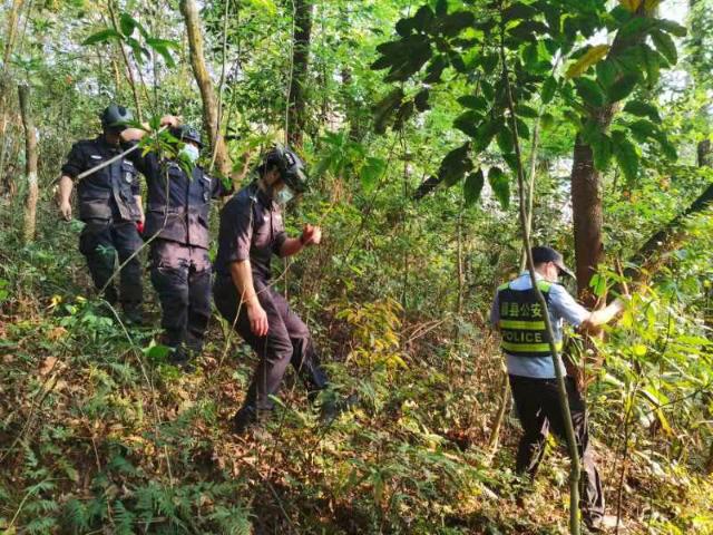 东航失事客机救援情况如何？藤县方面称正在筹备发布会