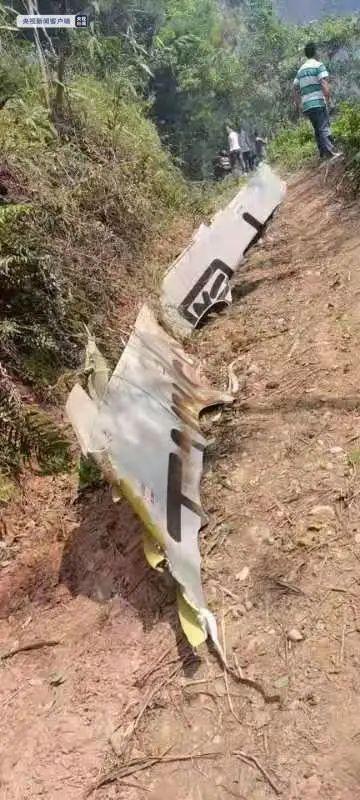 痛！东航MU5735坠毁，“坠毁时爆炸声很大，以为在打雷”，上千救援人员紧急搜救！东航停飞全部同型号客机，多家险企启动应急响应