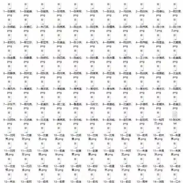 上海硬核选调生：用编程1人5小时搞定全村人核酸二维码