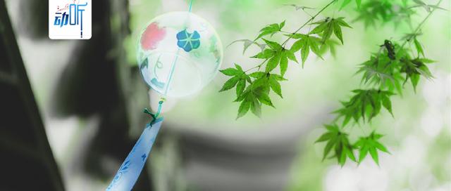 夜读丨余生漫长，愿与岁月深爱