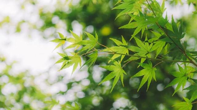 夜读丨余生漫长，愿与岁月深爱