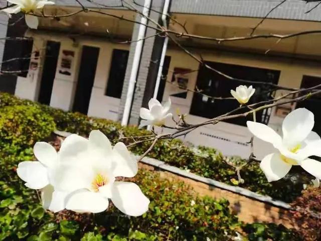 校园春日最终季来啦！春来希望至，期待和孩子们相聚在春日的校园里