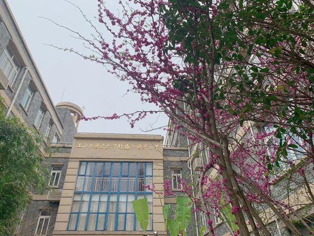 校园春日最终季来啦！春来希望至，期待和孩子们相聚在春日的校园里