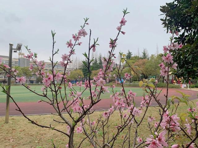 校园春日最终季来啦！春来希望至，期待和孩子们相聚在春日的校园里