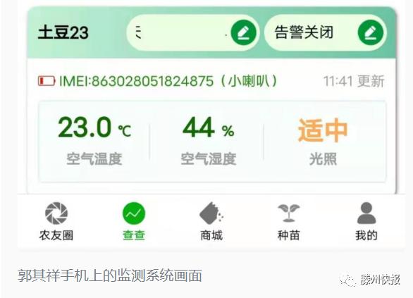 好品山东｜大棚用上物联网，滕州马铃薯品牌价值达158.52亿