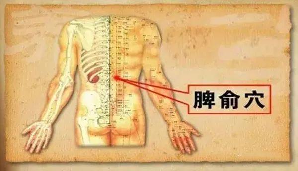 阳气不足百病生，春天巧用这穴位，对养阳大有益处