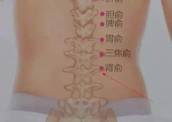 阳气不足百病生，春天巧用这穴位，对养阳大有益处