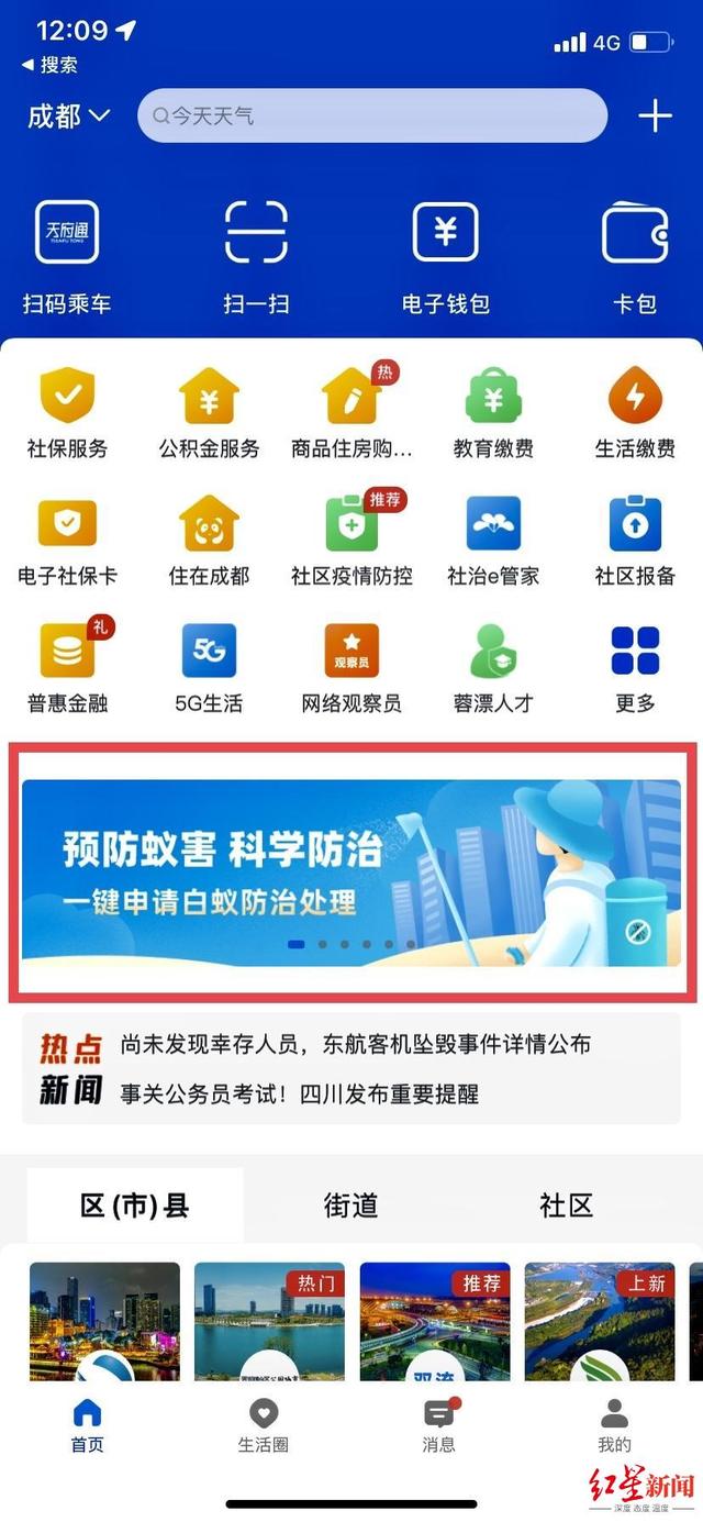 居民家踢脚线被蛀空！成都白蚁分飞期马上到，咋个申请灭蚁？