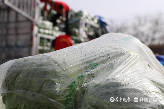 直击阳信｜蔬果多地市供给，不仅吃得饱，而且吃得好