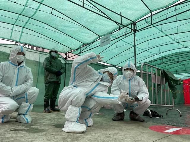 来自崇明民宿业主的邀约，暖暖的