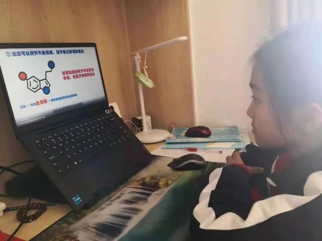 线上“不停教+不停学”，莱芜区各学校这样做