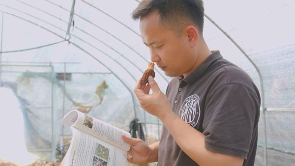 从通信专家到种植能手 车田村里来了个“跨界”驻村干部
