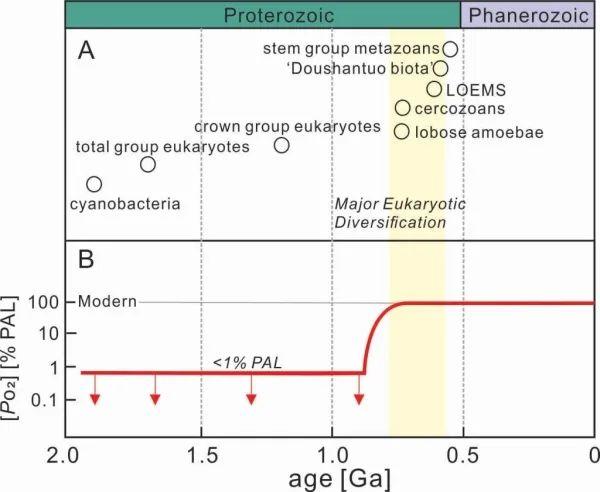 科学家揭示元古宙中期地球为低氧状态