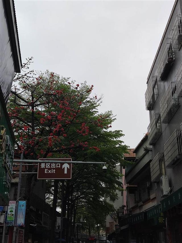 MU5735失事后，这条玉器街再也不见他们的身影