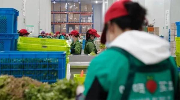 一颗白菜78元？已被调查！为何上海不同地区菜价相差大？原因找到