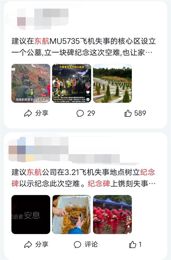 网友建议为东航坠机遇难者设纪念碑，声音：要看事故原因，也应遵循家属意愿