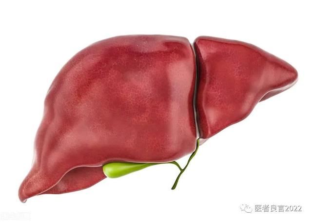 经常放屁是肝不好还是胃不好？屁多、屁臭多和这4个原因有关
