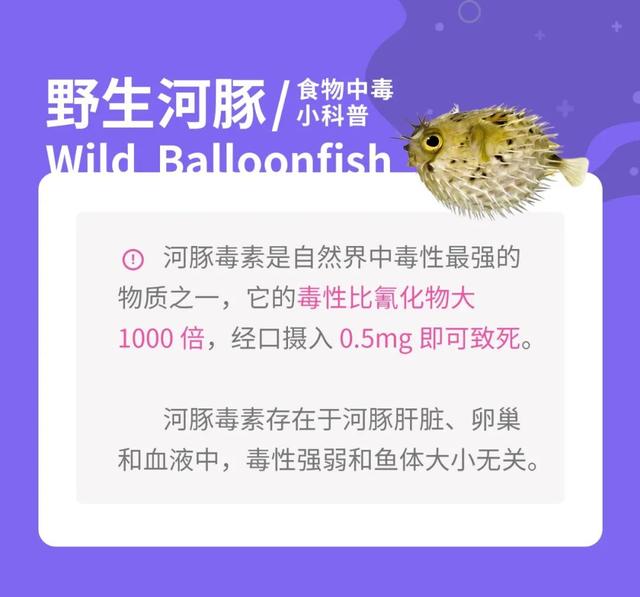 大妈吃浸泡 2 天木耳次日住进 ICU，家庭食物中毒如何避免？
