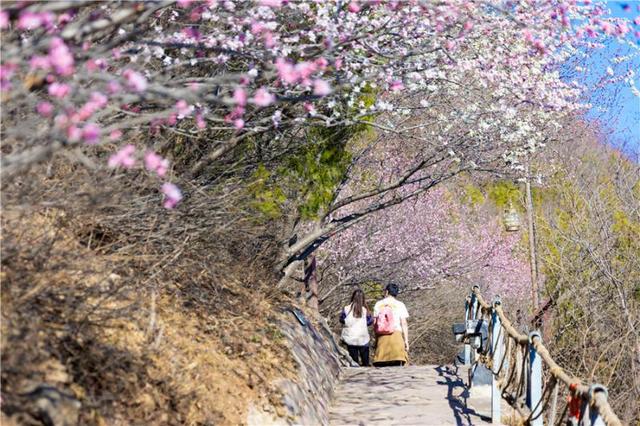 清明节北京哪里好玩