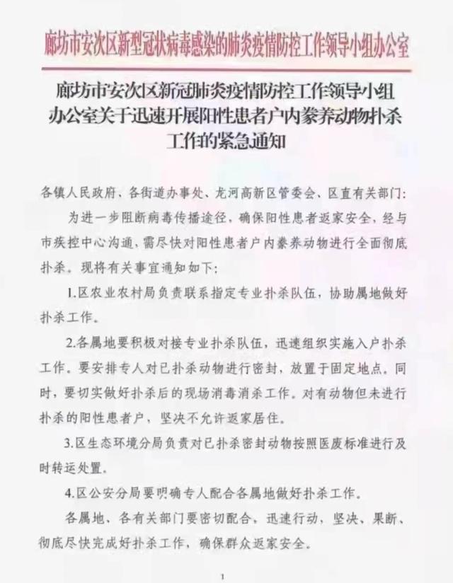 阳性患者户内动物将被扑杀？河北廊坊疾控：已停止