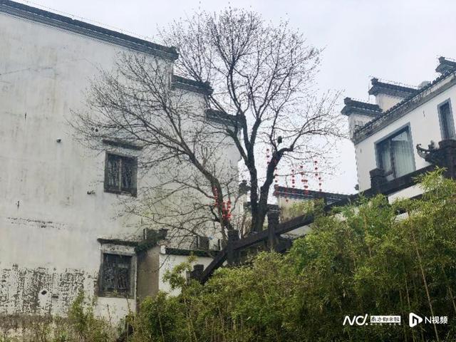 两周举行多场国际会议、会谈，小城屯溪何以成为国际会客厅？