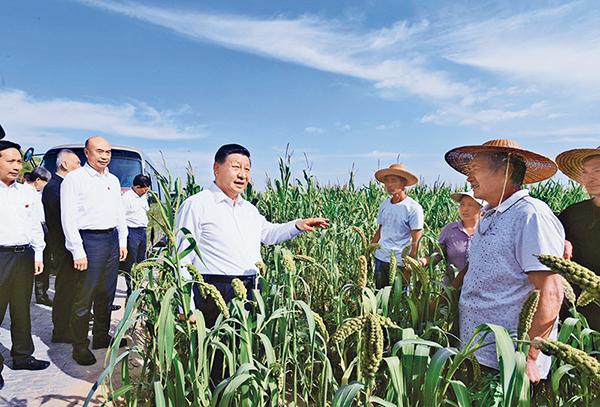 《求是》杂志发表***总书记重要文章《坚持把解决好“三农”问题作为全*工作重中之重，举全*全社会之力推动乡村振兴》2