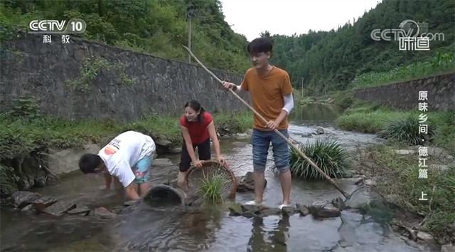 贵州山村网红上央视——流量背后的美丽乡愁