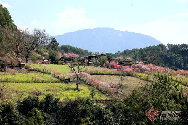 桃花岛风景区 清远桃花岛风景区 牛淘网