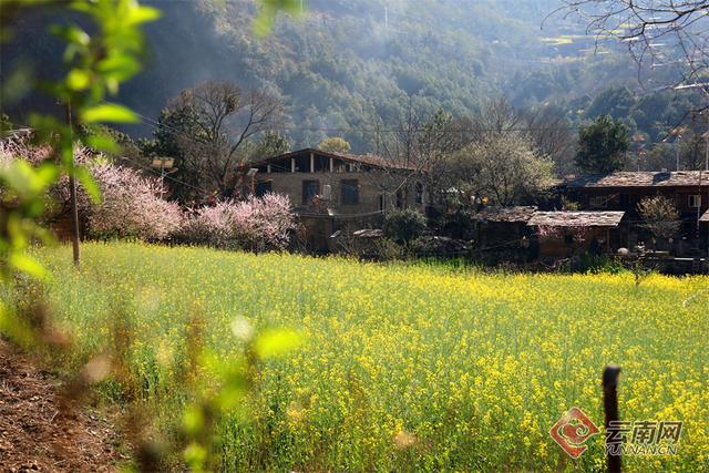 桃花岛风景区 清远桃花岛风景区 牛淘网