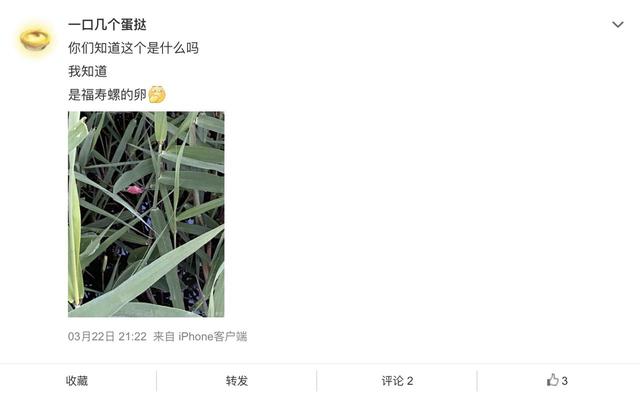 在公园发现这种粉红色的“花”，千万别碰