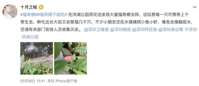 在公园发现这种粉红色的“花”，千万别碰