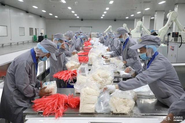 好品山东｜从“种产品”到“树品牌”，邹城小蘑菇双轮驱动革新