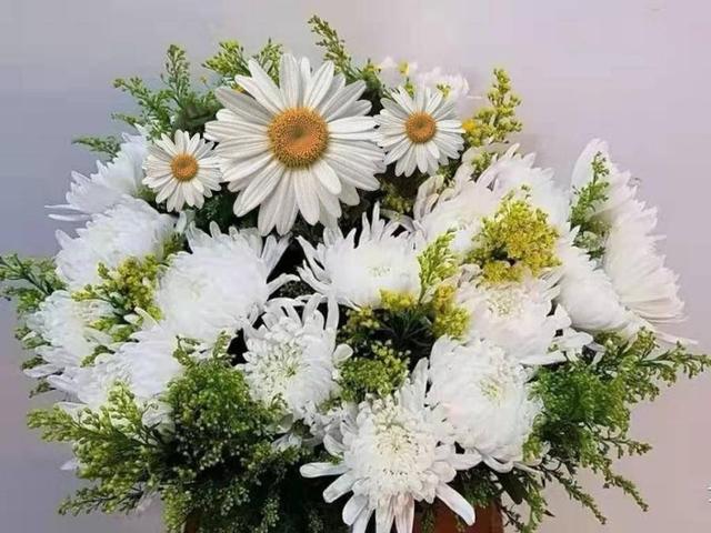 清明｜清明节，祝您快乐