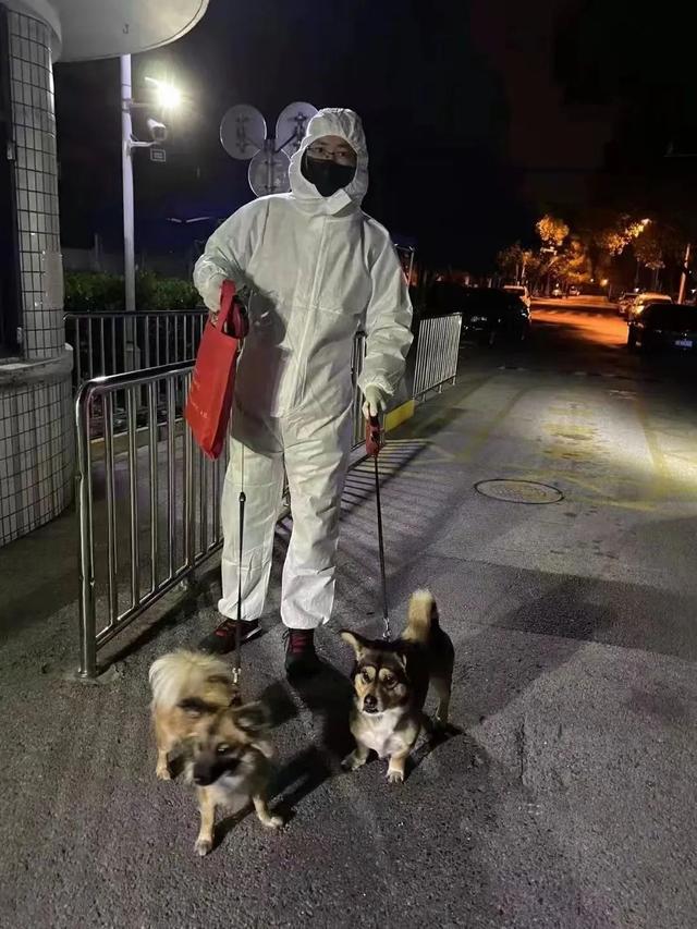 上海一小区宠物狗被扑杀居委会回应 上海一小区宠物狗被扑杀居委会回应