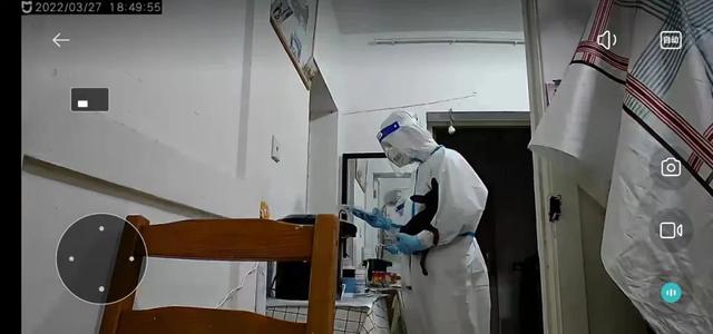 上海一小区宠物狗被扑杀居委会回应 上海一小区宠物狗被扑杀居委会回应