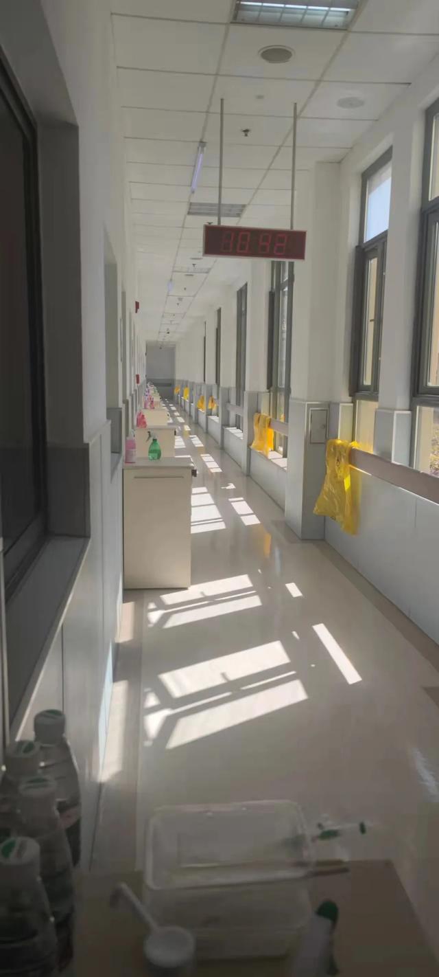 上海一小区宠物狗被扑杀居委会回应 上海一小区宠物狗被扑杀居委会回应