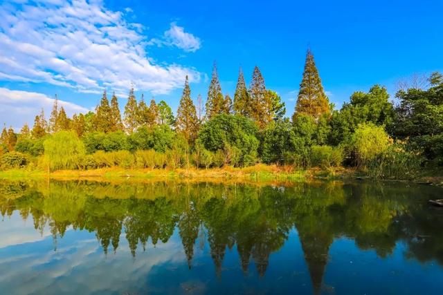 氛围感拉满！浙江这些宝藏乡村，春天一秒入画，出圈又出片