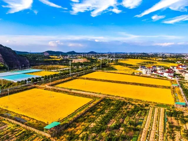 氛围感拉满！浙江这些宝藏乡村，春天一秒入画，出圈又出片