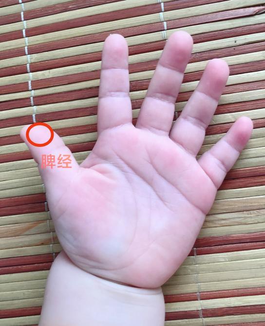 小儿推拿养生系列24节气之清明养生