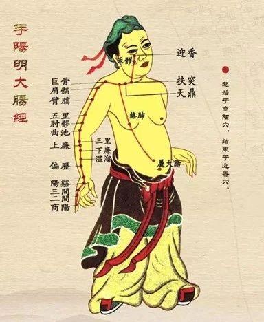 养生十二时辰