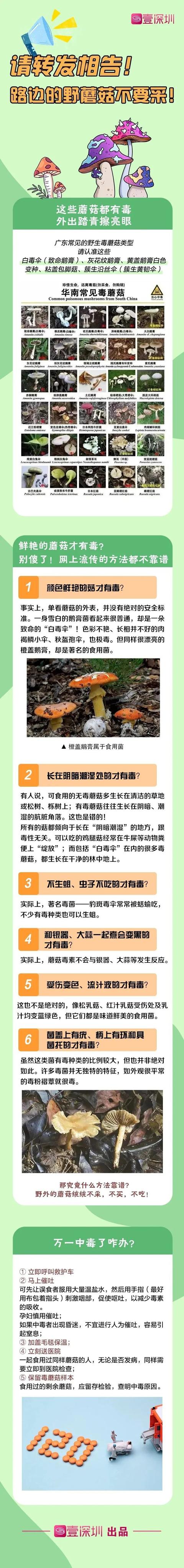 经常提醒还是有人中招，恩平市民要慎吃这种食物