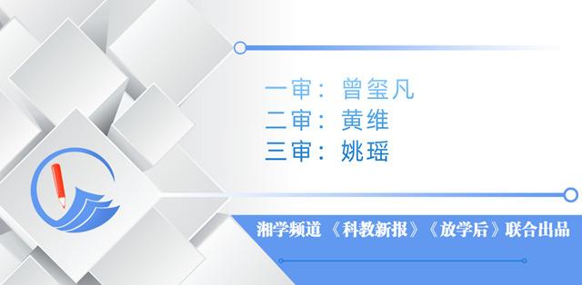 芦淞区金轮侨心学校：守护花季，关爱成长