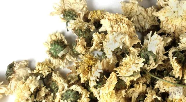 菊花茶，喝对了才养生！但这四大门派，很多人都没分清……
