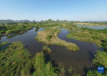 岩溶湿地别样春「组图」