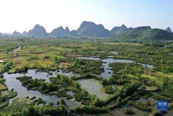 岩溶湿地别样春「组图」