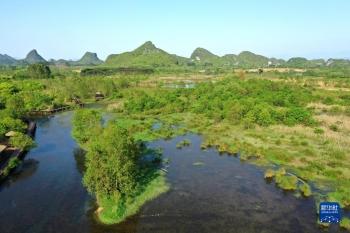 岩溶湿地别样春「组图」