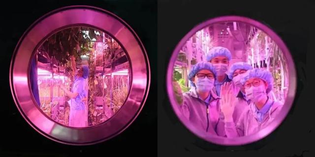 太空中的“生物圈”