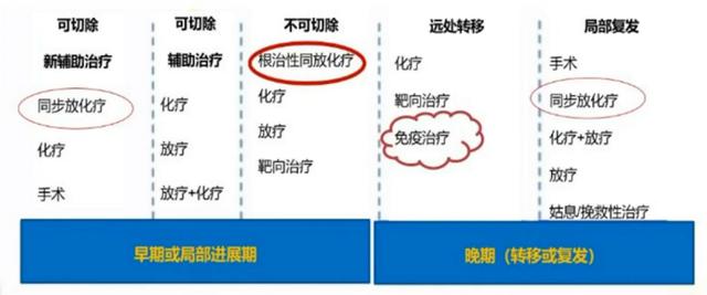 食管癌免疫治疗病例分析:疗效如何?方案怎么选?